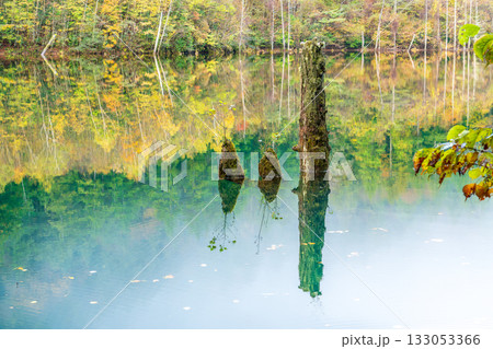 夜明け前の自然湖の水面に映る紅葉 133053366