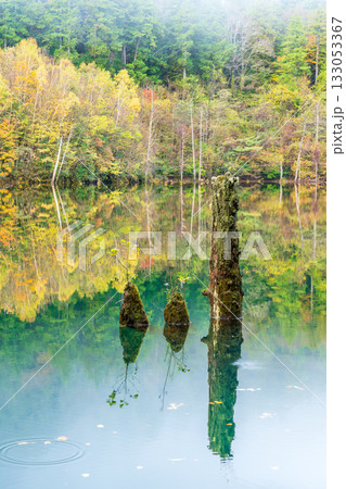 夜明け前の自然湖の水面に映る紅葉 133053367