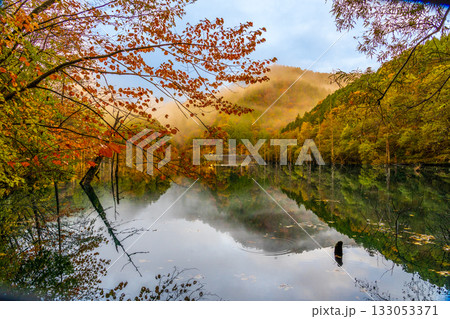 夜明け前の自然湖の水面に映る紅葉 夜明け前の自然湖の水面に映る紅葉 133053371