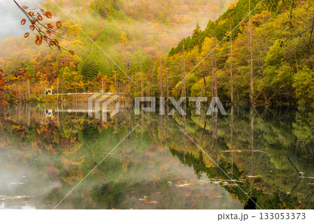 夜明け前の自然湖の水面に映る紅葉 夜明け前の自然湖の水面に映る紅葉 133053373