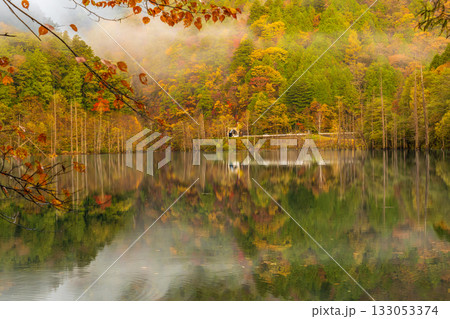 夜明け前の自然湖の水面に映る紅葉 夜明け前の自然湖の水面に映る紅葉 133053374