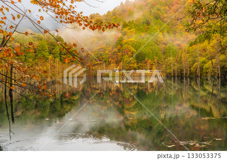 夜明け前の自然湖の水面に映る紅葉 夜明け前の自然湖の水面に映る紅葉 133053375
