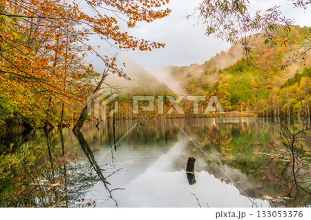 夜明け前の自然湖の水面に映る紅葉 夜明け前の自然湖の水面に映る紅葉 133053376