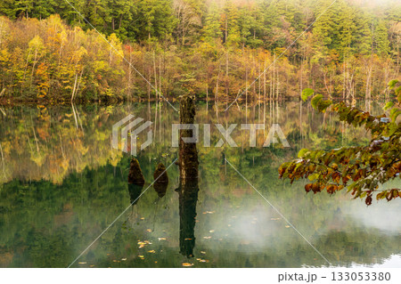 夜明け前の自然湖の水面に映る紅葉 133053380