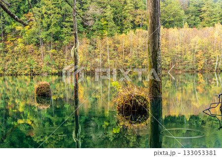 夜明け前の自然湖の水面に映る紅葉 133053381