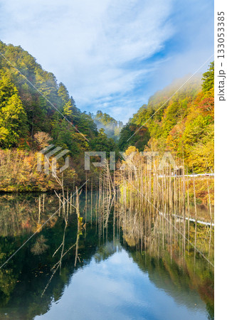 夜明け前の自然湖の水面に映る紅葉 133053385