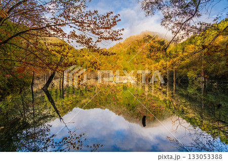 夜明け前の自然湖の水面に映る紅葉 133053388