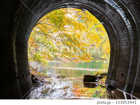 秋の自然湖の水没トンネルの水面に映る紅葉 秋の自然湖の水没トンネルの水面に映る紅葉 133053441