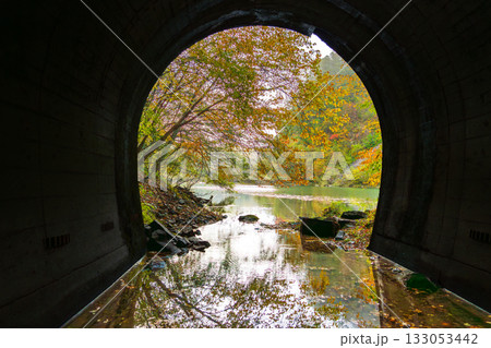 秋の自然湖の水没トンネルの水面に映る紅葉 秋の自然湖の水没トンネルの水面に映る紅葉 133053442