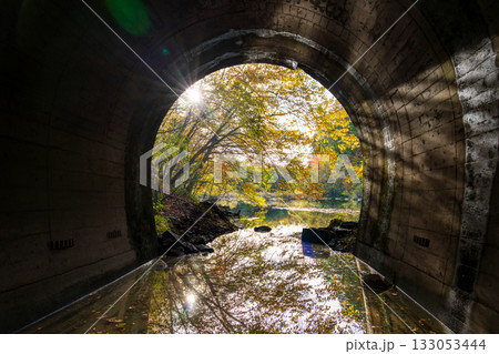 秋の自然湖の水没トンネルの水面に映る紅葉 133053444