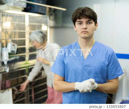 Young confident veterinarian standing in recovery room of veterinary clinic 133053807