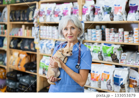 Senior woman veterinarian is standing with dog Chihuahua in pet store pharmacy. 133053879