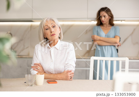 Adult woman quarreling with elderly woman in kitchen 133053900