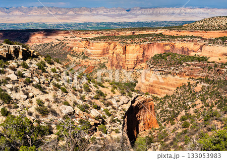 Scenic view from Highland View overlook in Colorado National Monument. Red Canyon is in the foreground, with the Grand Valley and Book Cliffs in the distance Scenic view from Highland View overlook in Colorado National Monument. Red Canyon is in the foreground, with the Grand Valley and Book Cliffs in the distance 133053983
