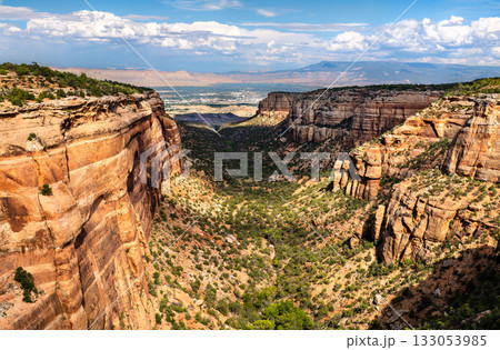 Scenic view of Red Canyon in Colorado National Monument. The deep, sheer-walled canyon is filled with green vegetation. The Grand Valley is visible in the distance Scenic view of Red Canyon in Colorado National Monument. The deep, sheer-walled canyon is filled with green vegetation. The Grand Valley is visible in the distance 133053985