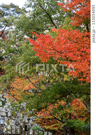 姫路城 紅葉 姫路城 紅葉 133054095