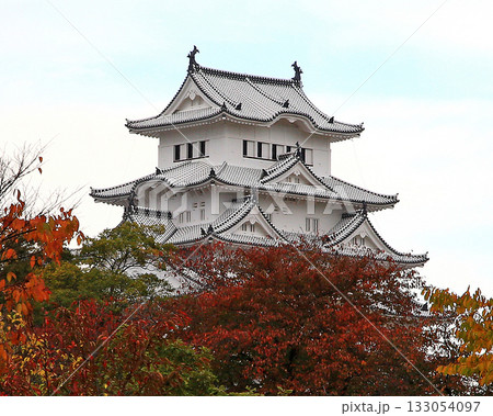 姫路城 紅葉 姫路城 紅葉 133054097