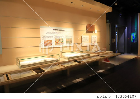 足立区立郷土博物館 　館内の展示物　 133054187