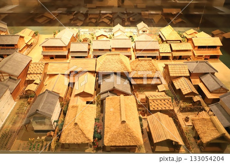 足立区立郷土博物館 館内の展示物 足立区立郷土博物館 館内の展示物 133054204