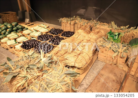 足立区立郷土博物館 　館内の展示物　 133054205