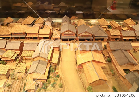 足立区立郷土博物館 館内の展示物 足立区立郷土博物館 館内の展示物 133054206