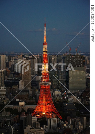 東京シティビューから見た東京タワーと都心の夜景 11月港区2052通常色・東京タワー・東京シティビュ 東京シティビューから見た東京タワーと都心の夜景 11月港区2052通常色・東京タワー・東京シティビュ 133054301