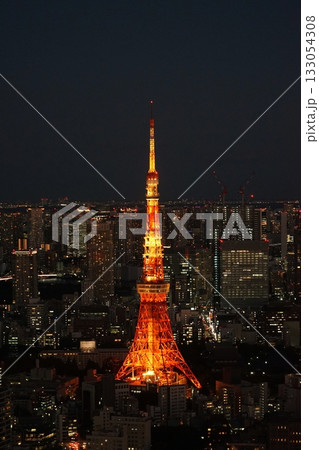 東京シティビューから見た東京タワーと都心の夜景 11月港区2059通常色・東京タワー・東京シティビュ 東京シティビューから見た東京タワーと都心の夜景 11月港区2059通常色・東京タワー・東京シティビュ 133054308