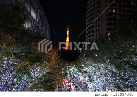 けやき並木のイルミネーションに浮かぶ東京タワー 11月港区2061東京タワーとけやき坂イルミ けやき並木のイルミネーションに浮かぶ東京タワー 11月港区2061東京タワーとけやき坂イルミ 133054310
