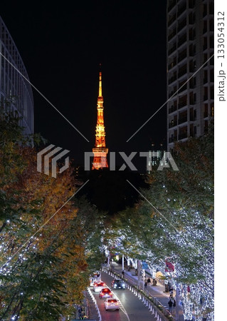 けやき並木のイルミネーションに浮かぶ東京タワー　11月港区2063東京タワーとけやき坂イルミ 133054312