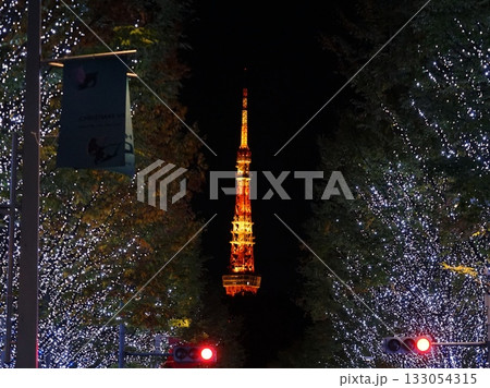 けやき並木のイルミネーションに浮かぶ東京タワー 11月港区2066東京タワーとけやき坂イルミ けやき並木のイルミネーションに浮かぶ東京タワー 11月港区2066東京タワーとけやき坂イルミ 133054315