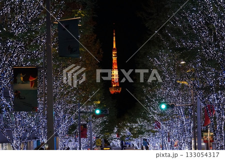 けやき並木のイルミネーションに浮かぶ東京タワー 11月港区2068東京タワーとけやき坂イルミ けやき並木のイルミネーションに浮かぶ東京タワー 11月港区2068東京タワーとけやき坂イルミ 133054317