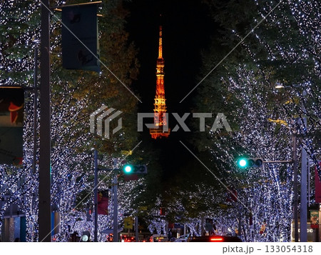 けやき並木のイルミネーションに浮かぶ東京タワー 11月港区2069東京タワーとけやき坂イルミ けやき並木のイルミネーションに浮かぶ東京タワー 11月港区2069東京タワーとけやき坂イルミ 133054318