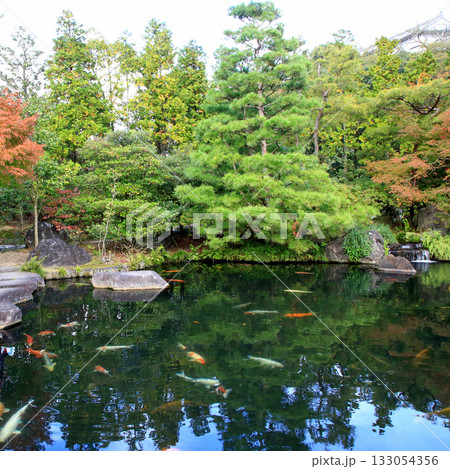 姫路城好古園 兵庫県 姫路城好古園 兵庫県 133054356