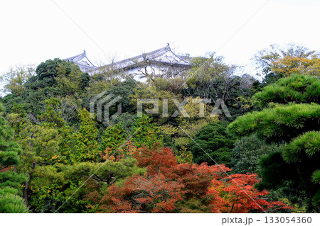 姫路城好古園 兵庫県 姫路城好古園 兵庫県 133054360