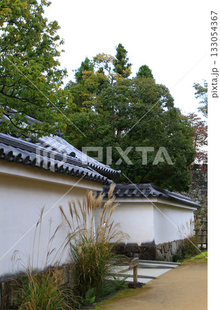 姫路城好古園　兵庫県 133054367