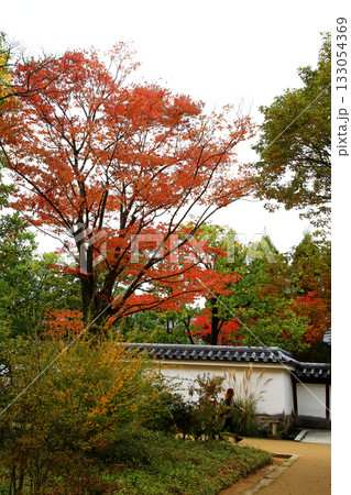 姫路城好古園　兵庫県 133054369