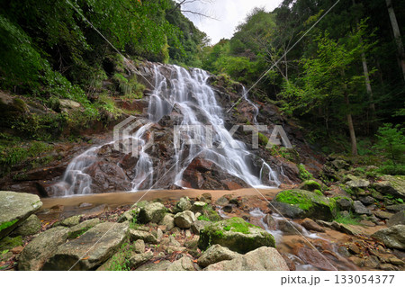 今福の滝(京都府宮津市) 今福の滝(京都府宮津市) 133054377