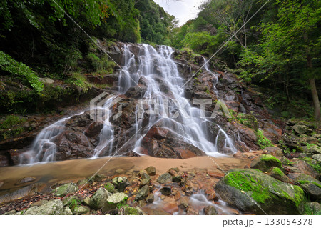 今福の滝（京都府宮津市） 133054378