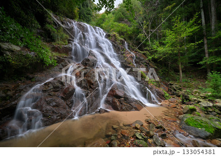今福の滝（京都府宮津市） 133054381