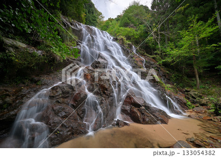 今福の滝(京都府宮津市) 今福の滝(京都府宮津市) 133054382