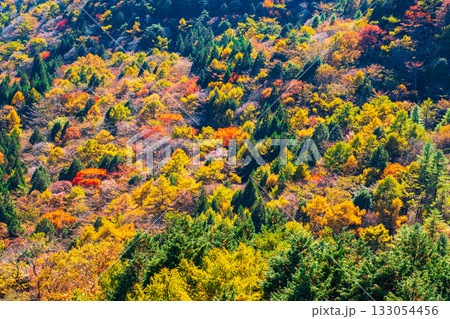 榛名山の紅葉 133054456