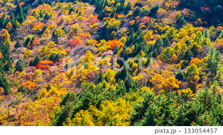 榛名山の紅葉 榛名山の紅葉 133054457
