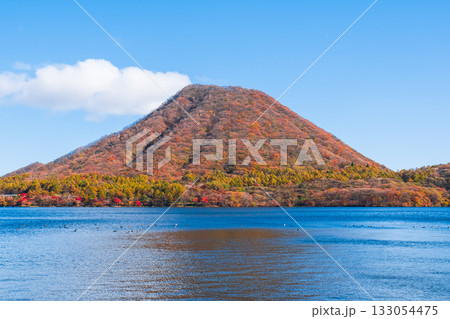 榛名山・榛名湖・榛名富士（秋） 133054475