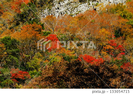 香落渓 紅葉 香落渓 紅葉 133054715
