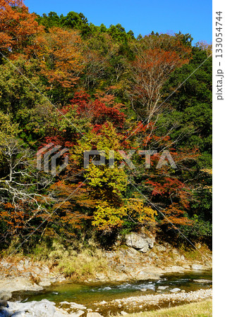 香落渓 紅葉 香落渓 紅葉 133054744