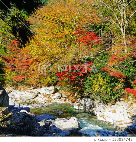 香落渓 紅葉 香落渓 紅葉 133054745
