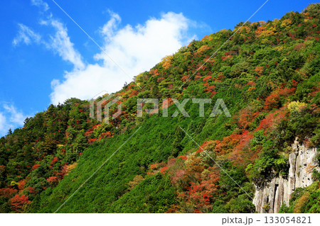 香落渓　紅葉 133054821