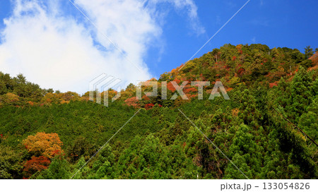 香落渓 紅葉 香落渓 紅葉 133054826