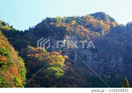 香落渓 紅葉 香落渓 紅葉 133054835