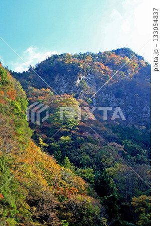 香落渓 紅葉 香落渓 紅葉 133054837